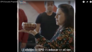 Entrevista en Vivo